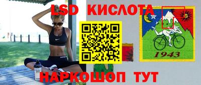 крисы Бийск