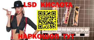 крисы Бийск