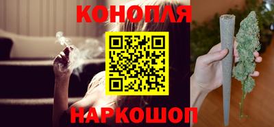 крисы Бийск