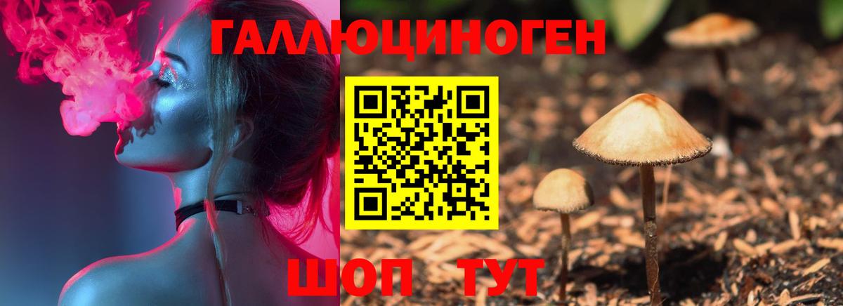 Псилоцибиновые грибы ЛСД  Вход с VPN  Златоуст 